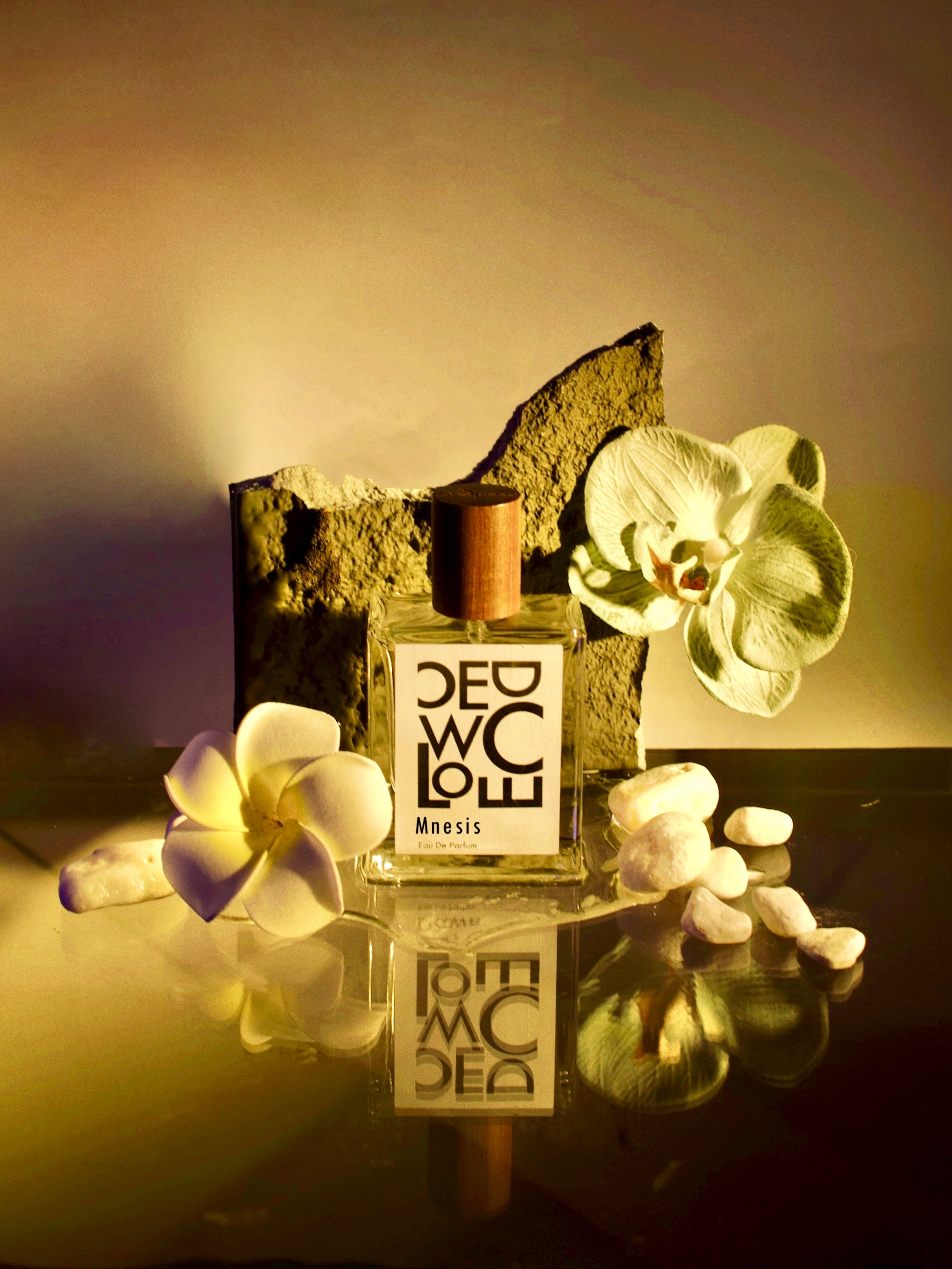 Fragrance – OCO